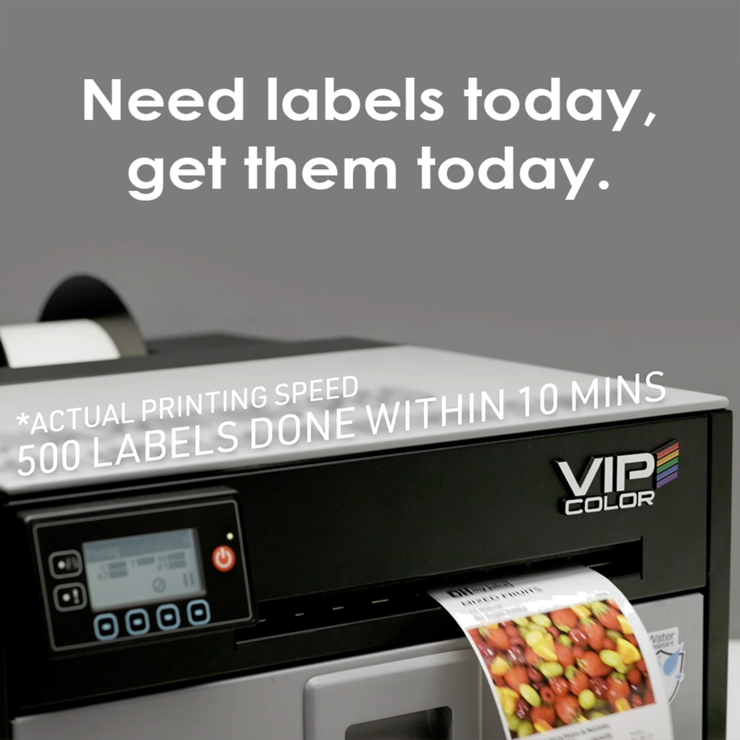 VP 550 Full-Color Label Printer